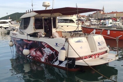 Rental Motorboat Arvor 280AS Budva