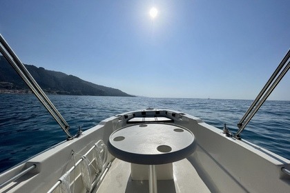 Чартер лодки без лицензии  Sans permis Prusa marine Prusa 450 Ментона