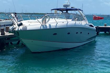 Verhuur Motorboot Sunseeker 2012 Cancún
