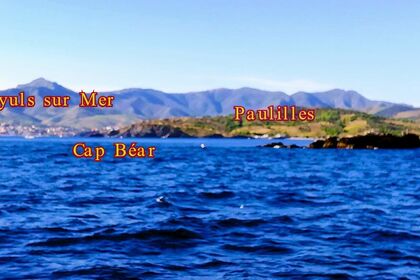 Quicksylver 555 Activ Cabin 115 CV