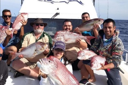 Charter Motorboat Cata 356 Castillo Caleta de Fuste