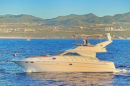 Alquiler Yate a motor Sea Ray boats Fly Bridge Cabo San Lucas