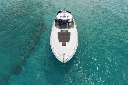 Rental Motorboat Sea Ray 400 Sundancer Cozumel