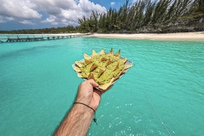 5⭐️ Sea Ray 24’ 2022. All inclusive