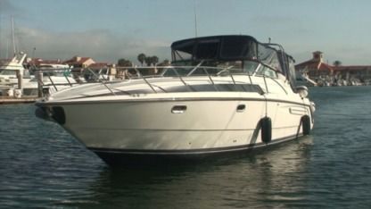 Charter Motorboat Bayliner Avanti Panama