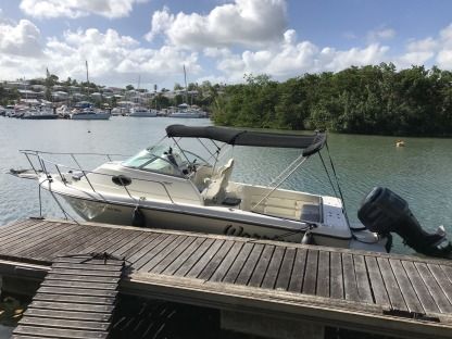 Location Bateau à moteur Hydra Sport 23 Wa Baie Mahault