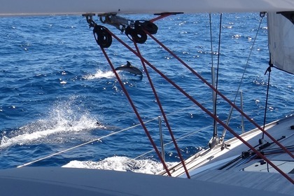 Super BORDEAUX 60⛵CNB Yachts