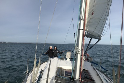 Dufour 34 E Performance