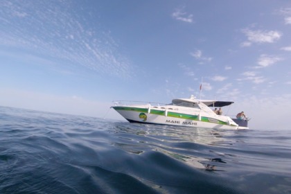 Miete Motorboot Sea Ray 270 Sundancer Marbella