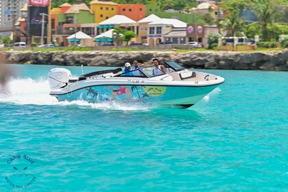 Rental Motorboat Sea Ray 210 Spx Montego Bay