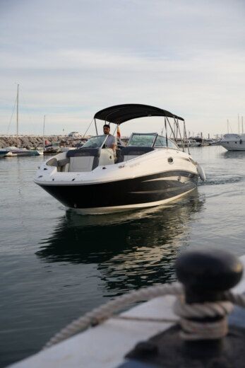 Location Bateau à moteur Sea Ray 260 (2018) à Marbella - Click&Boat