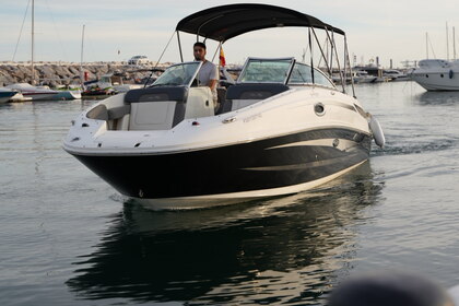 Miete Motorboot Sea Ray 260 Marbella