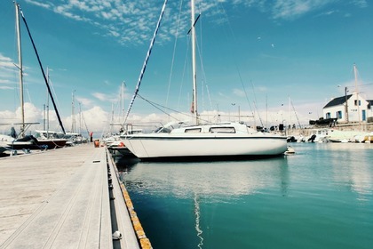 Charter Sailboat CNSO Daimio 7m Quiberon