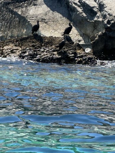 Dubrovnik RIB Joker Boat Clubman 21 alt tag text