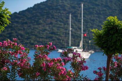 Luxury 20 Meters Gulet with 4 Cabins