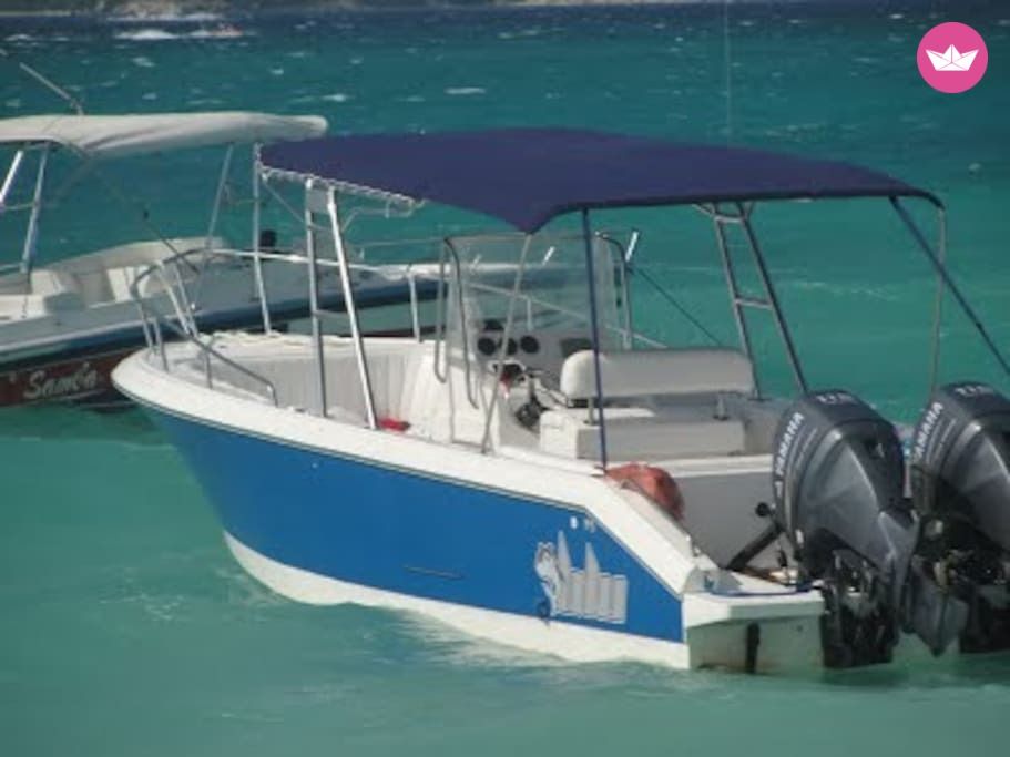 Bateau à moteur Intrepid 2012 230cv 3
