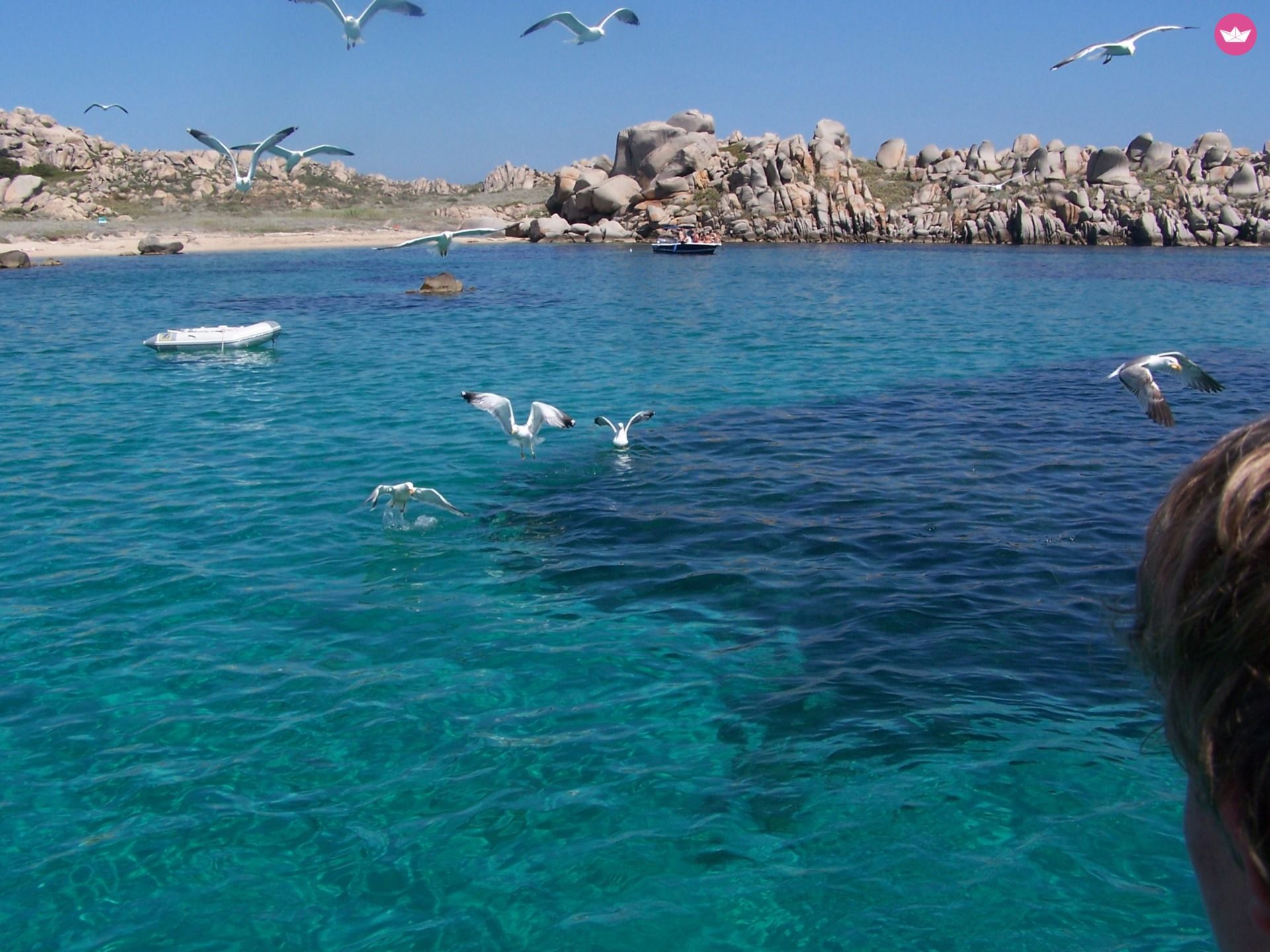 Sailboat Kelt 850 for hire