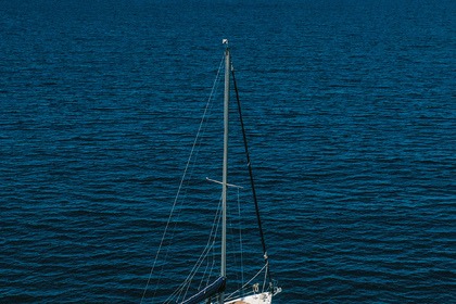 Chris Craft Caribbean 35