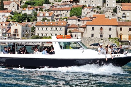Miete Motorboot Gulf Craft Touring 36 Kotor Municipality