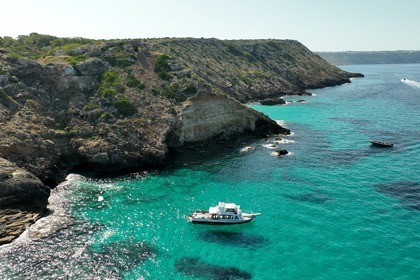 Noleggio Barca a motore Astillero Palma (Baleares) MWM Diter Tipo TD229/4 S'Arenal