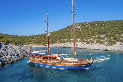 BOAT CHARTER FOR DAILY & WEEKLY HIRE