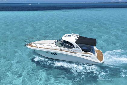 Verhuur Motorjacht Sea Ray Sundancer Cancún