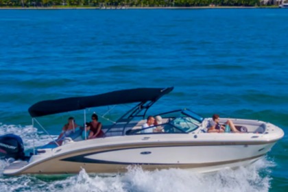 Rental Motorboat SEARAY SDX 270 Miami Beach