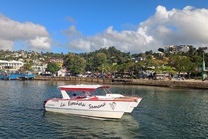 WHALES IN SAMANA FROM JANUARY TO APRIL, WHALES VISIT US. THEY COME EVERY YEAR TO MATE AND GIVE BIRTH. ENJOY THE SHOW IN COMFORT. HAITISES AND CAYO LEVANTADO AND THE WHALES