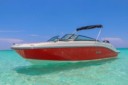Rental Motorboat Sea Ray 240 Sundeck Cozumel