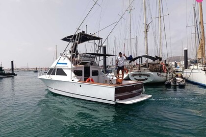 Miete Motorboot Bertram Bertram 28 Fuerteventura