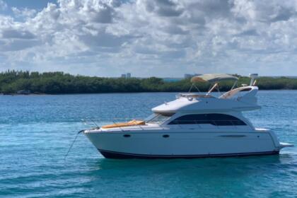 Rental Motor yacht Meridian Yachts 430 Cancún