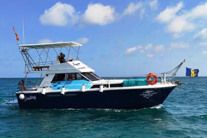 Miete Motorboot Princess 37 Alicante