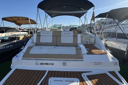 Alquiler Lancha Sea Ray Sundeck Puerto Banús, Marbella