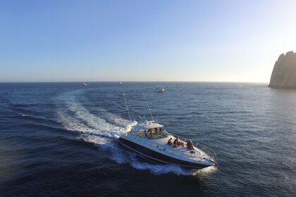 Rental Motorboat Sea Ray cruiser Cabo San Lucas