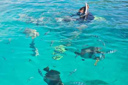 Daily private boat excursions