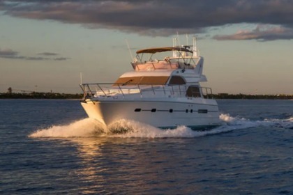 4 Hour, 60' Neptunus