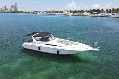Hire Motorboat Sae ray 420 sundancer North Miami