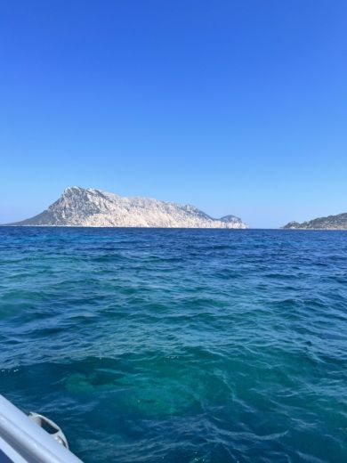 Pittulongu RIB Bwa 550 alt tag text