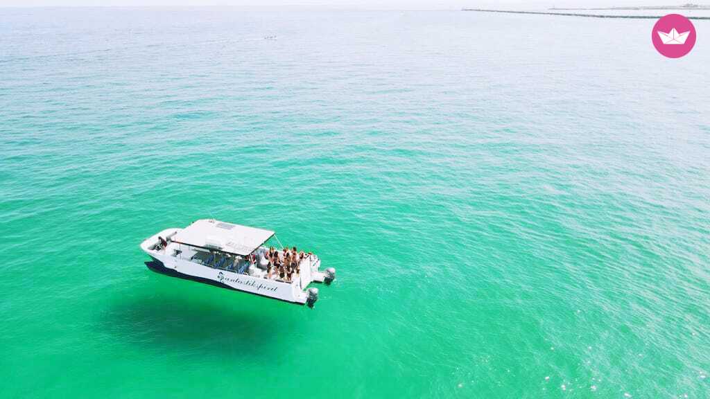 Catamaran Custom Custom 12.65m 2