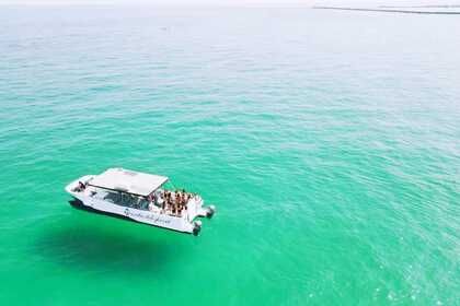 Alquiler Catamarán Custom Custom Ria Formosa