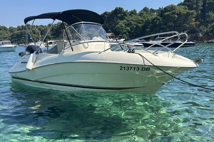 Panda Quick silver 555 activ