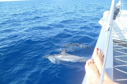 Noleggio Catamarano FOUNTAINE PAJOT ATHENA 38 Morro Jable