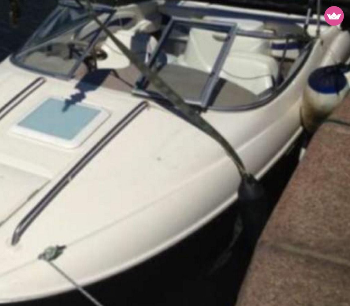 Bateau à moteur Bayliner 175 de particuliers et professionnels