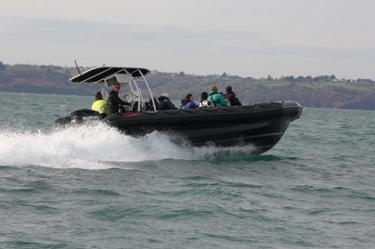 Charter RIB Ribcraft 9.0 Saint-Cast-le-Guildo