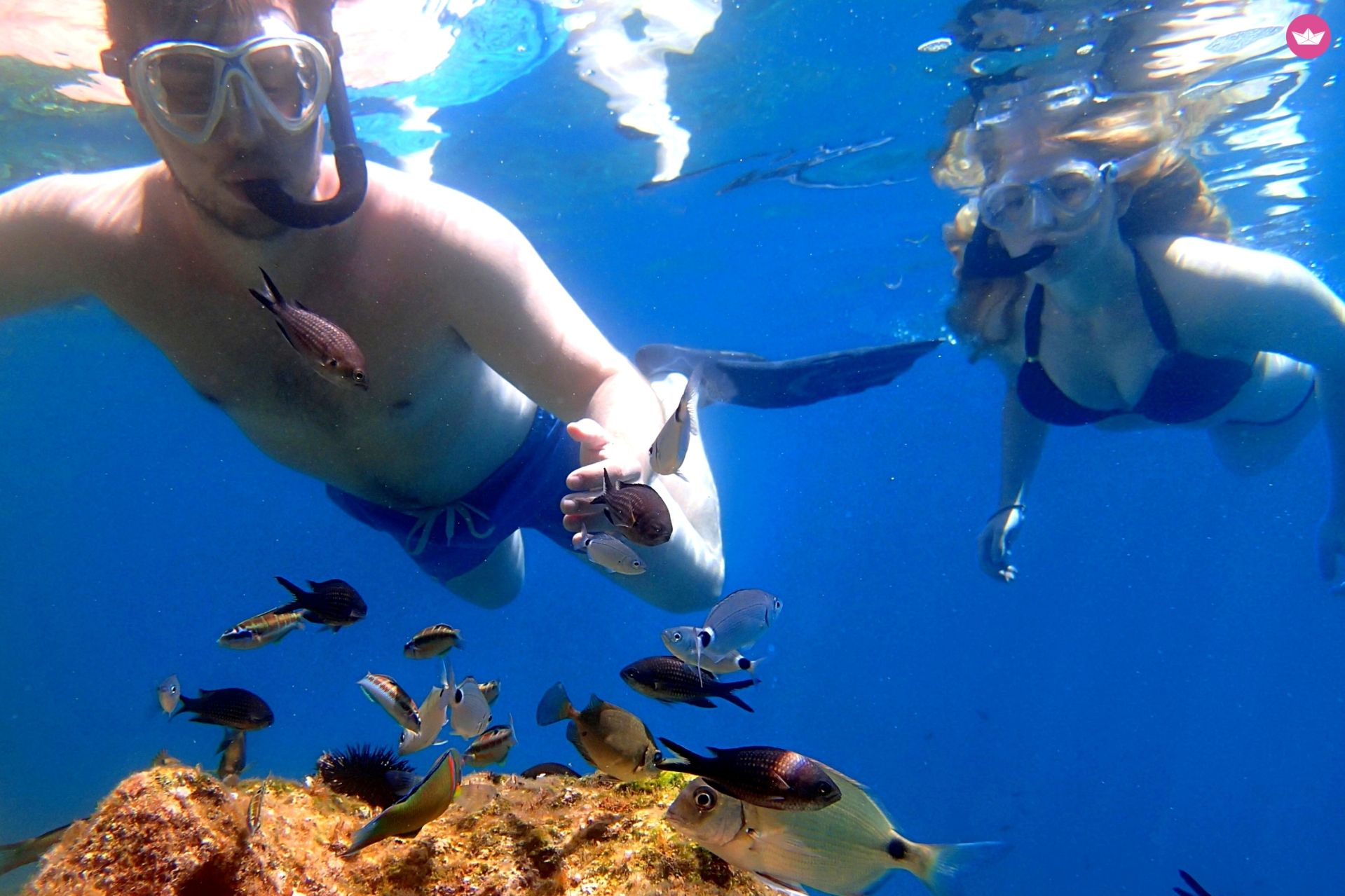 Charter rIB in Chania  