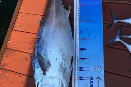 Poyraz Paşa, Enjoy Fishing and Swimming Excursions