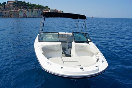 Sea Ray Black Diamond 210 SPX