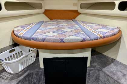 Luxurious Cruiser 44