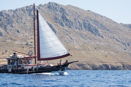 Alma Libre Daily Cruises