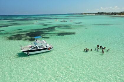 Verhuur Motorboot catamaran apc catamaran apc Punta Cana